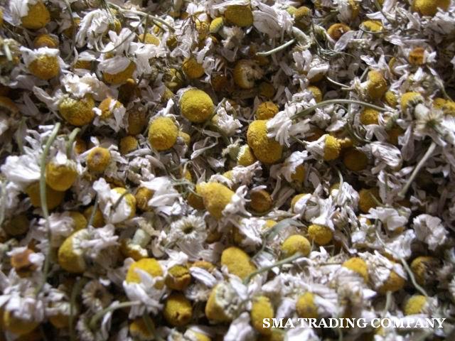 Chamomile