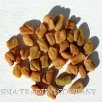 Fenugreek seeds