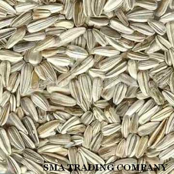 Sunflower seeds