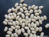 White Kidney beans