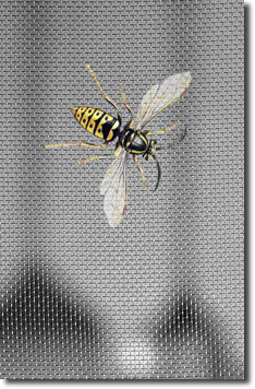 insect screening