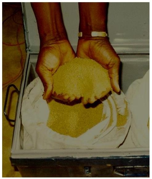 Gold Dust