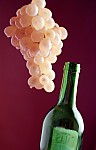 Grape Juice Concentrate