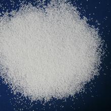 rumen protected choline chloride