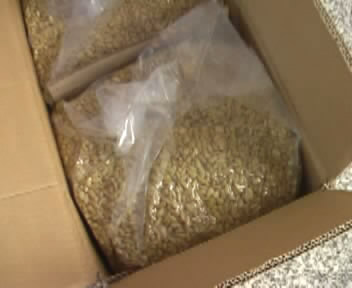 pine nut kernels