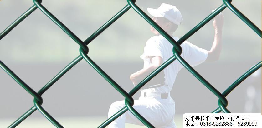 Chain Link Fence