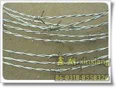 barbed wire