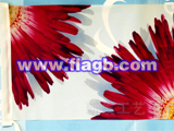 company flag