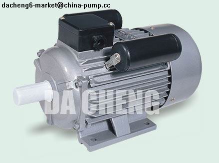 Electric Motor
