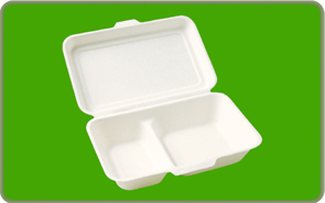 Sugarcane compostable clamshell lunch box