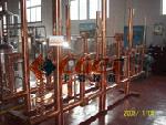 beer fermentation system
