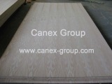 Oak Plywood-tracy at waterproofplywood