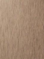 brushed aluminum coil