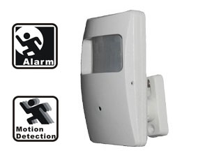 PIR Camera