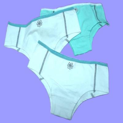 Ladies Underwear