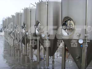 Fermenting System