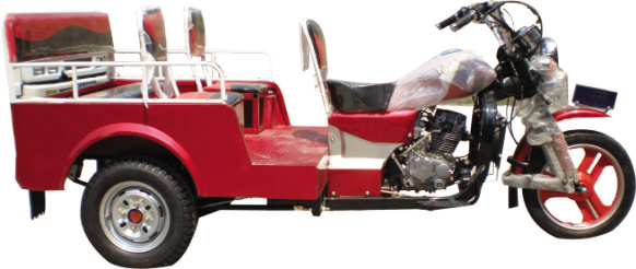 5 Passenger Tricycle