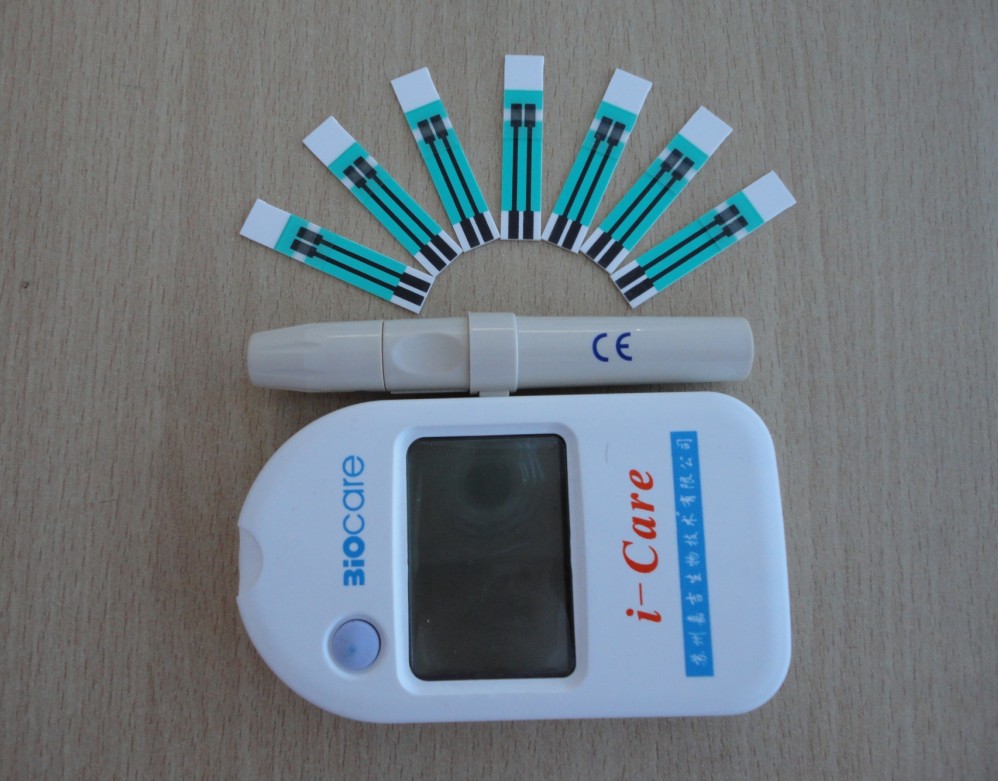 Blood glucose meter