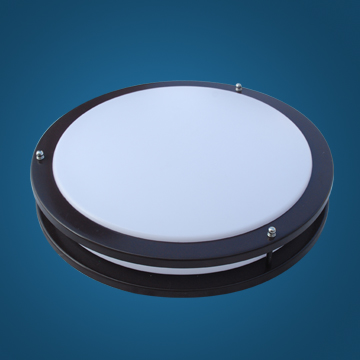 LED ceiling light