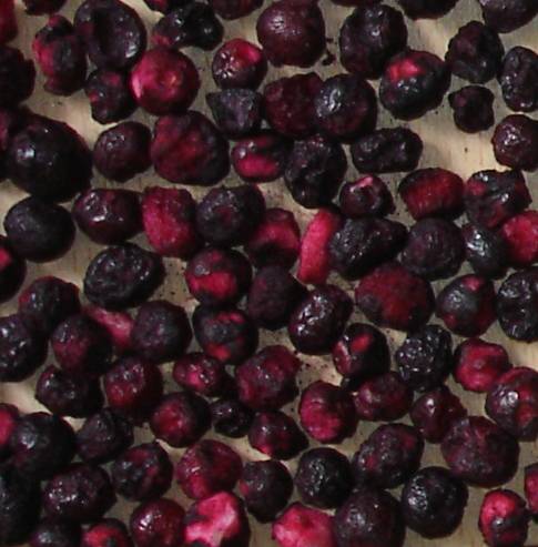 Freeze dried blueberry