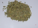 Senna Tea & leaf