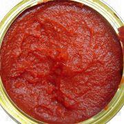 tomato paste xjdryfruit@