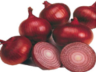 Onion Extract