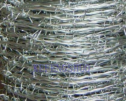 Barbed Wire