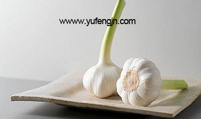 chinese garlic