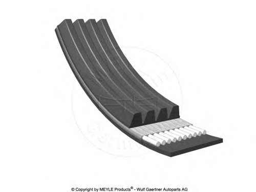 poly v belt