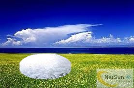 sodium saccharin