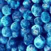 blueberry anthocyanin