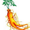 Ginseng extract