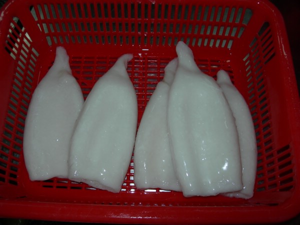 IQF Squid Tube, Todarodes pacificus, U5