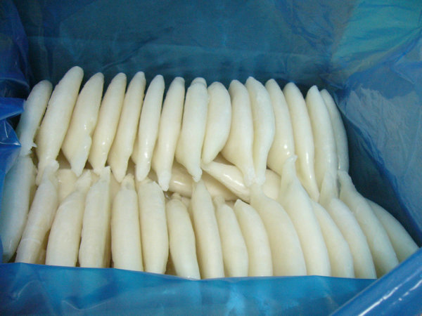 Frozen Squid Tube_Todarodes pacificus U7
