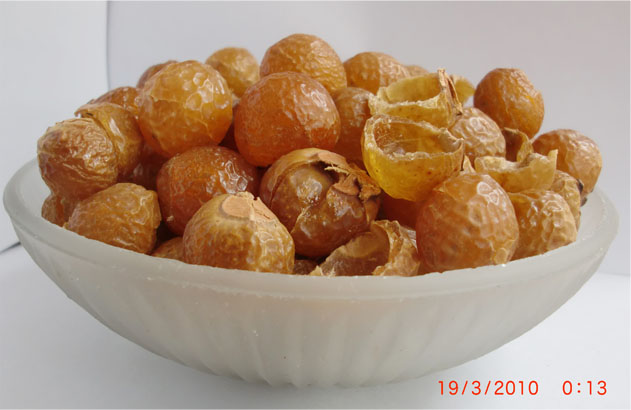 Deceded Soapnuts
