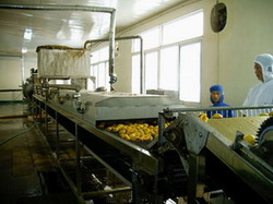 fruit juice production line