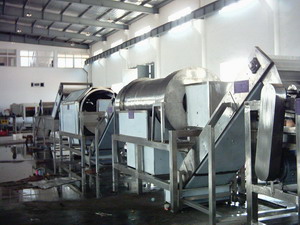 concentrated mango juice production line
