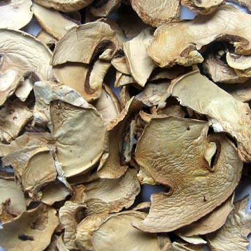Dehydrated mushroom