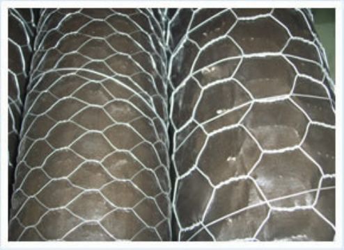 hexagonal wire mesh