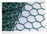 hexagonal wire netting