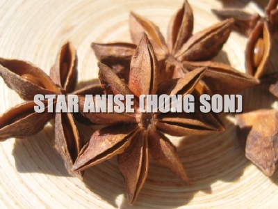Viet Nam star aniseed