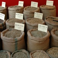 Vietnam Rubosta Coffee R1-16-2%