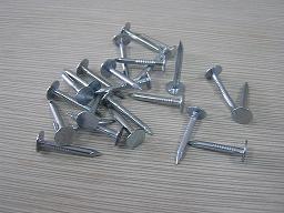 galvanized roofing nails