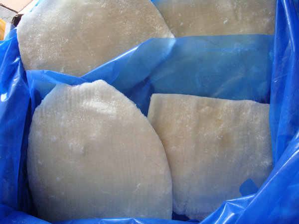 Seafood_Frozen Squid Fillet