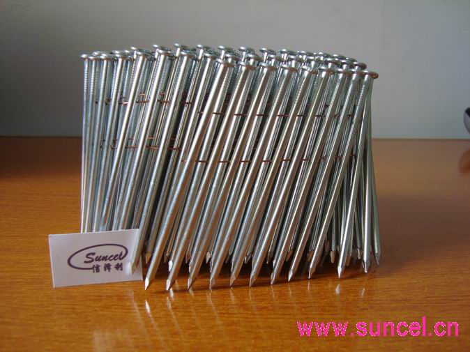 Steel Nails, wire nails,galvainzed nails
