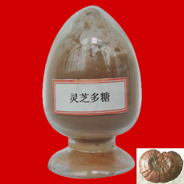 ganoderma extract