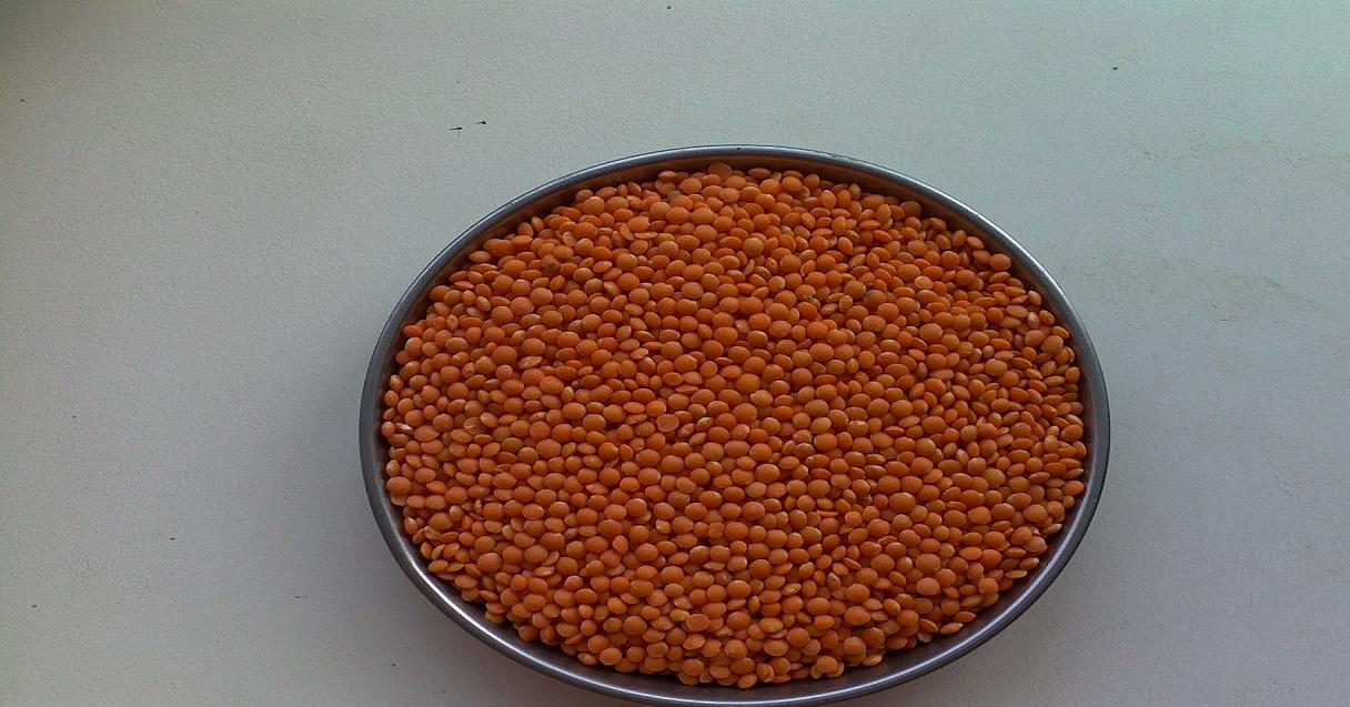 Red lentils