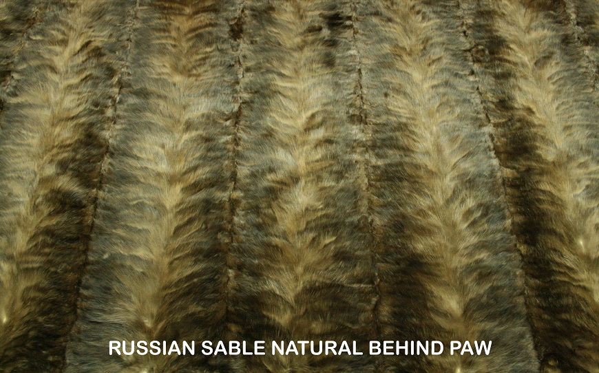 SABLE PLATES
