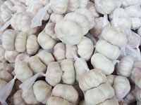 Normal White Garlic, Pure White Garlic